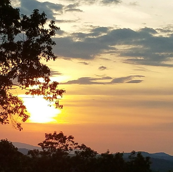 Meet your Posher, Sunny - Picture 1 of 1